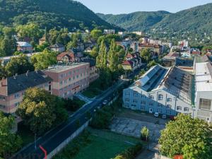 Prodej bytu 1+kk, Ústí nad Labem - Střekov, Purkyňova, 33 m2