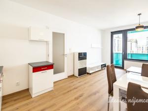 Pronájem bytu 2+kk, Praha - Žižkov, Olgy Havlové, 46 m2