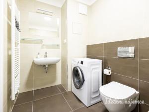 Pronájem bytu 2+kk, Praha - Žižkov, Olgy Havlové, 46 m2