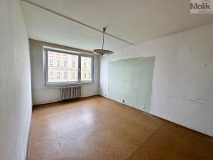 Prodej bytu 2+kk, Krupka - Bohosudov, Dlouhá, 39 m2