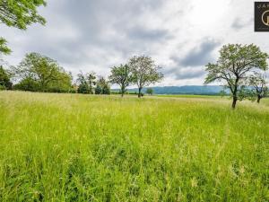 Prodej pozemku pro bydlení, Bousov, 1174 m2