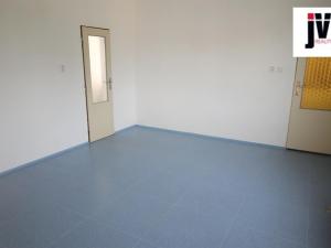 Prodej vícegeneračního domu, Líně, Dlouhá, 260 m2