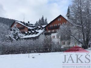 Pronájem bytu 1+kk, Železná Ruda - Špičák, 30 m2