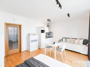 Prodej bytu 1+kk, Praha - Žižkov, Olšanská, 36 m2