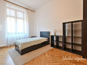 Pronájem bytu 3+1, Brno, Údolní, 135 m2