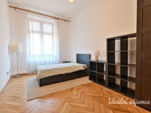 Pronájem bytu 3+1, Brno, Údolní, 135 m2