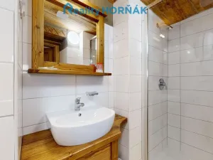 Prodej ubytování, Černá v Pošumaví - Bližná, 340 m2
