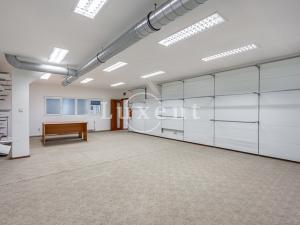 Pronájem skladu, Praha - Vysočany, Kolbenova, 2202 m2