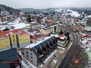 Prodej bytu 1+kk, Železná Ruda, Javorská, 65 m2