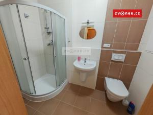 Pronájem bytu 1+kk, Zlín, Podlesí II, 30 m2
