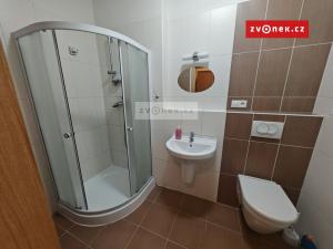 Pronájem bytu 1+kk, Zlín, Podlesí II, 30 m2
