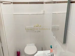 Pronájem bytu 1+kk, Praha - Libeň, Pod Labuťkou, 19 m2