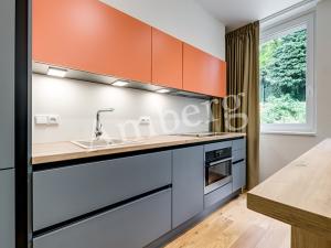 Pronájem bytu 1+kk, Praha - Vinohrady, Perucká, 26 m2