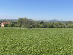 Prodej pozemku pro bydlení, Mělník, 1319 m2