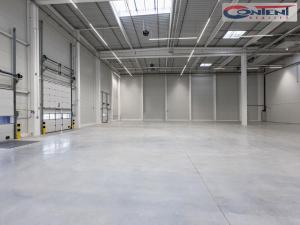 Pronájem výrobních prostor, Ostrava - Vítkovice, 16000 m2