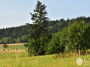 Prodej pozemku pro bydlení, Dlouhé, 571 m2