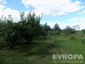 Prodej zahrady, Bělušice, 4787 m2