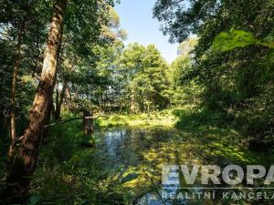 Prodej pozemku pro bydlení, Kájov - Lazec, Lazec, 21233 m2