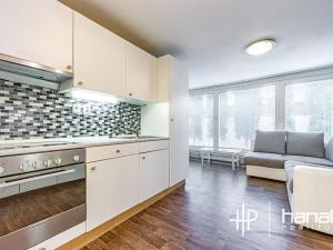 Pronájem bytu 1+kk, Šternberk, Labutí, 31 m2