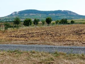 Prodej pozemku pro bydlení, Dolní Dunajovice, U Vodárny, 1600 m2