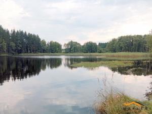 Prodej zemědělské usedlosti, Horní Radouň - Starý Bozděchov, 1600 m2