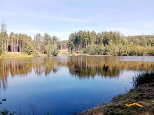 Prodej zemědělské usedlosti, Horní Radouň - Starý Bozděchov, 1600 m2