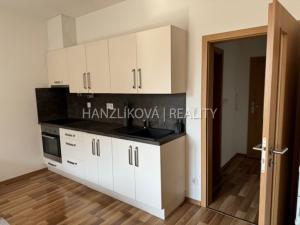 Pronájem bytu 1+kk, České Budějovice - České Budějovice 2, Volejbalistů, 28 m2