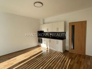Pronájem bytu 1+kk, České Budějovice - České Budějovice 2, Volejbalistů, 28 m2