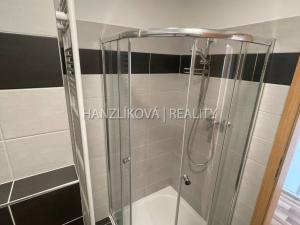 Pronájem bytu 1+kk, České Budějovice - České Budějovice 2, Volejbalistů, 28 m2