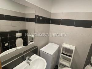 Pronájem bytu 1+kk, České Budějovice - České Budějovice 2, Volejbalistů, 28 m2