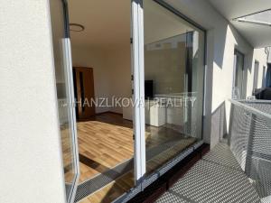 Pronájem bytu 1+kk, České Budějovice - České Budějovice 2, Volejbalistů, 28 m2
