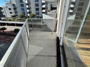 Pronájem bytu 1+kk, České Budějovice - České Budějovice 2, Volejbalistů, 28 m2