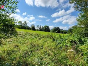 Prodej pozemku pro bydlení, Zlaté Hory, 909 m2