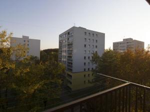 Prodej bytu 2+1, Praha - Žižkov, Buková, 53 m2