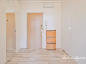 Pronájem bytu 1+kk, Brno - Židenice, Čejkovická, 33 m2