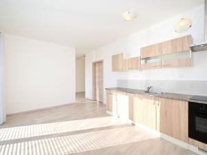 Pronájem bytu 1+kk, Říčany, Na Výšině, 41 m2