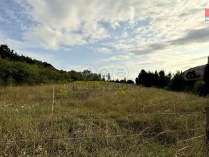 Prodej pozemku pro bydlení, Přerov, 2000 m2