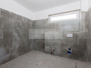 Prodej rodinného domu, Mladá Boleslav - Debř, Láskov, 164 m2