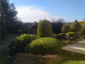 Prodej rodinného domu, Litovel, 150 m2