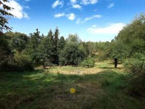 Prodej pozemku pro bydlení, Dubá - Korce, 8483 m2