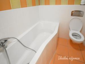 Pronájem bytu 1+kk, Brno - Královo Pole, Božetěchova, 37 m2