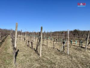 Prodej zahrady, Břeclav - Charvátská Nová Ves, 3285 m2