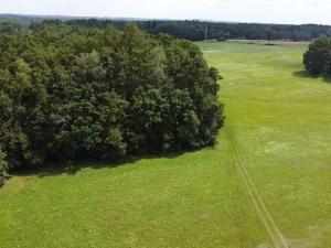 Prodej louky, Chlum u Třeboně - Žíteč, 220000 m2