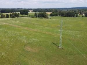 Prodej lesa, Chlum u Třeboně - Žíteč, 130000 m2