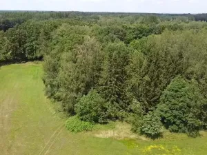 Prodej pole, Chlum u Třeboně - Žíteč, 130000 m2