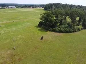Prodej pole, Chlum u Třeboně - Žíteč, 130000 m2