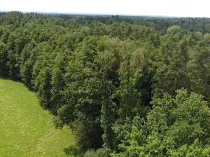 Prodej pole, Chlum u Třeboně - Žíteč, 130000 m2