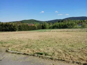 Prodej pozemku pro bydlení, Zdíkov, 1200 m2