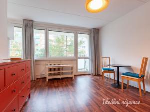 Pronájem bytu 1+kk, Praha - Podolí, Kaplická, 27 m2