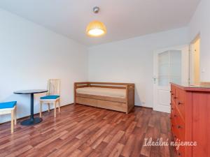 Pronájem bytu 1+kk, Praha - Podolí, Kaplická, 27 m2